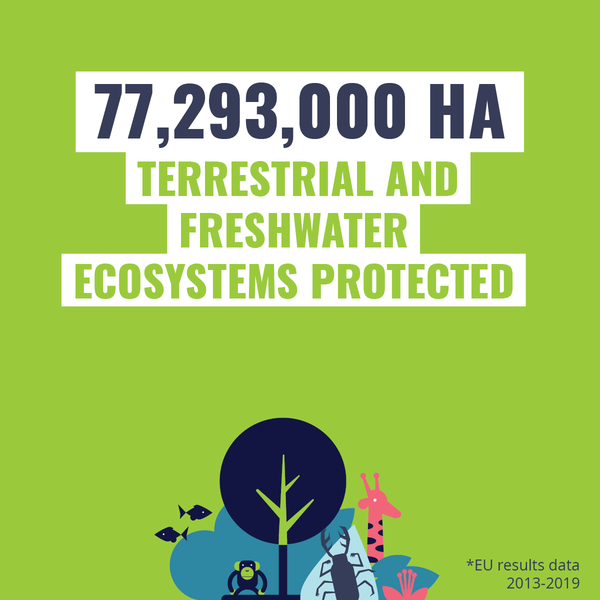 Our Impact Visual / 1200x1200px / Adobe Indesign