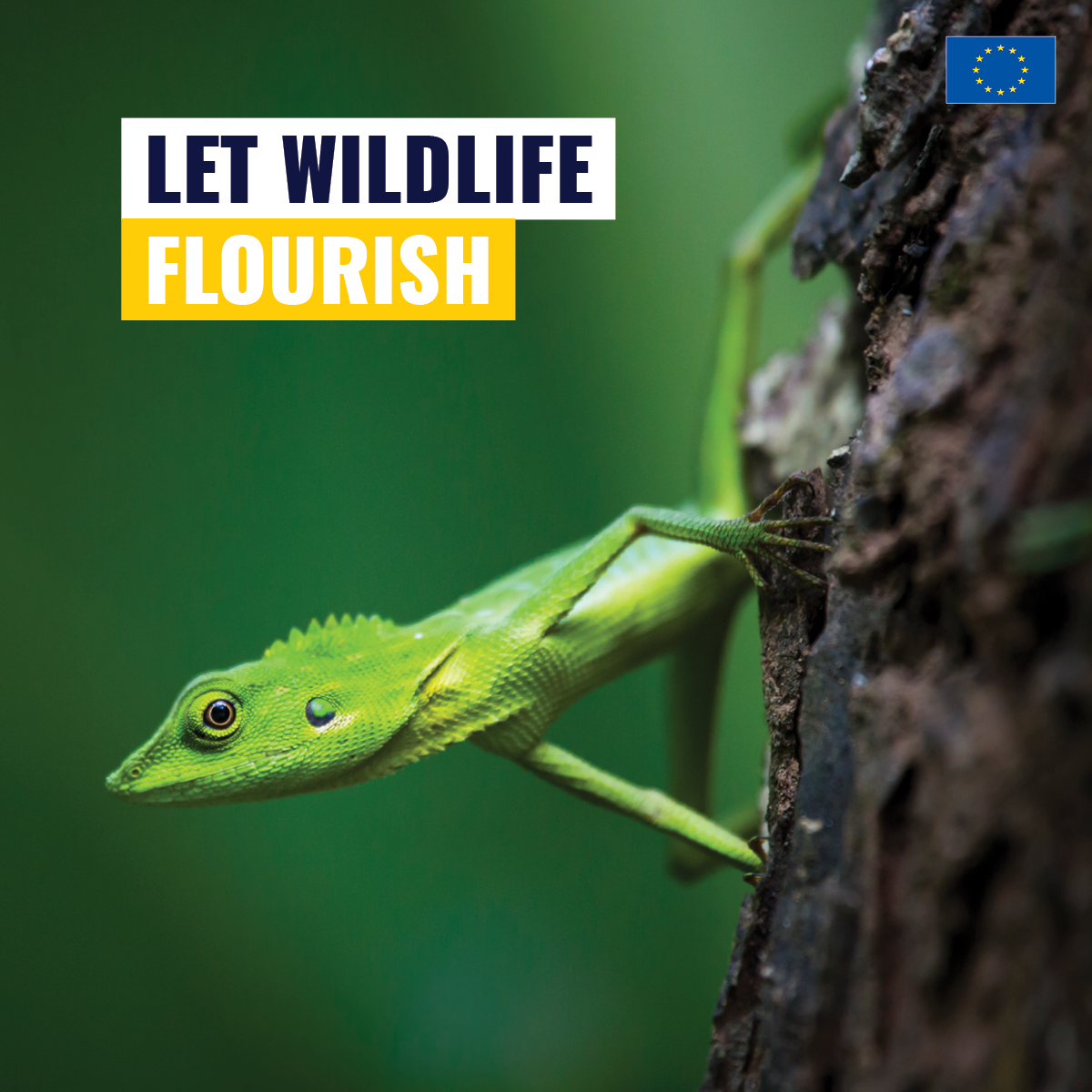 Social Media Visual / 1200x1200px / Green Deal - Biodiversity / Adobe InDesign