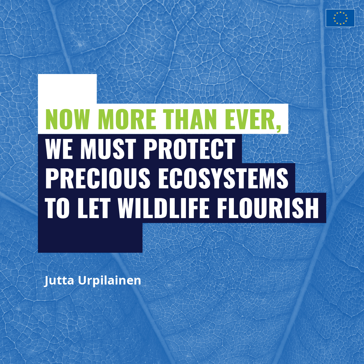 Quote / 1200x1200px / Green Deal - Biodiversity /Adobe InDesign